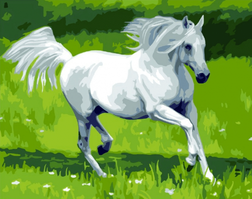 White Horse Paint by numbers