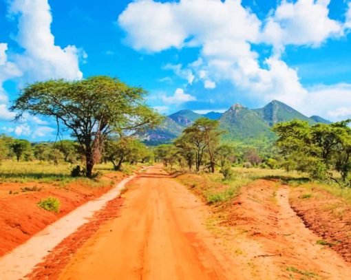 Africa Tsavo West Kenya Paint by numbers