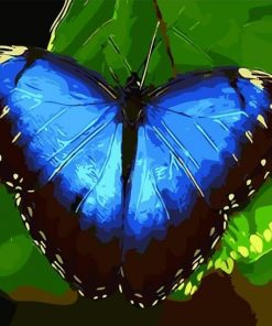 Blue Butterfly Paint by numbers