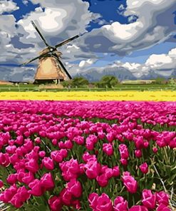 Tulips Farm paint by numbers