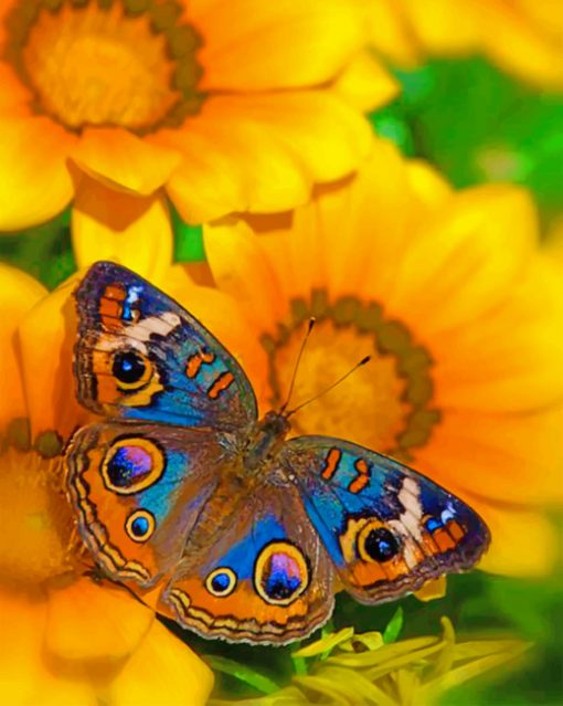 Buckeye Butterfly On A Sunflowers Piant by numbers