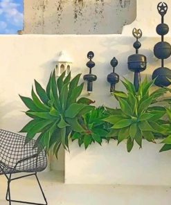 Tropical House Garden Paint by numbers