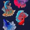Betta Fish Vector paint by numbers