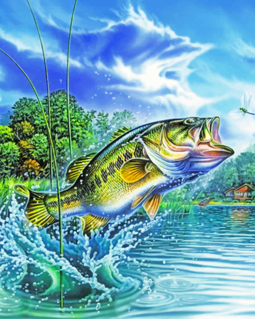 Fly Fishing Artwork – Paint By Number