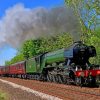 Flying Scotsman Train Paint by numbers