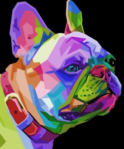 French Bulldog paint by numbers