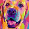 Golden Retriever Paint by numbers