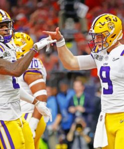 LSU Tigers football Paint by numbers