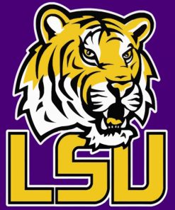 LSU Tigers Illustration Paint by numbers