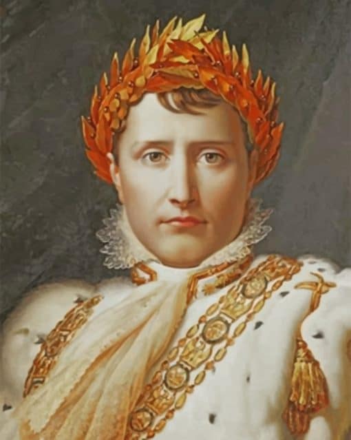 Bonaparte Napoleon paint by numbers