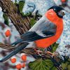 HUACAN-peinture-l-huile-par-num-ros-oiseau-Animal-Kit-dessin-sur-toile-Art-mural-peint-1.jpg_640x640_3-1