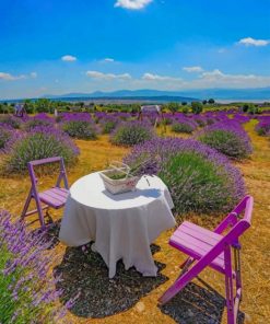 Picnic In Lavender Field paint by numbers