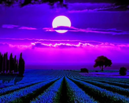 Lavender Fields Moonlight paint by numbers