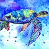 Aesthetic Blue Turtle paint by numbers