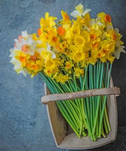 aesthetic-daffodils-flowers-paint-by-number