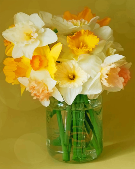 Aesthetic Daffodils Flowers