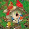 bird-house-paint-by-number