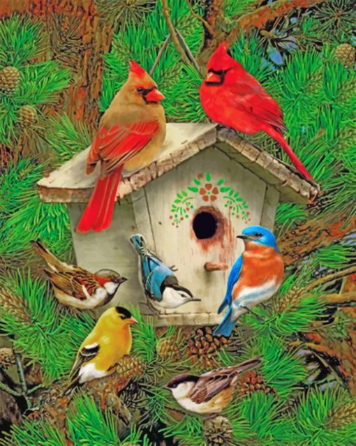 bird-house-paint-by-number