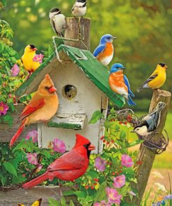 birds-paint-by-number