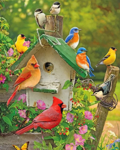 birds-paint-by-number