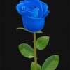 blue-rose-paint-by-number-2