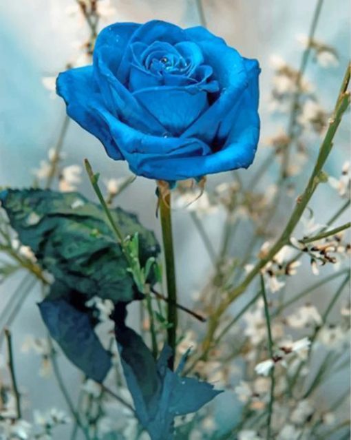 blue-rose-paint-by-number