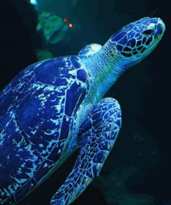 blue-sea-turtle-paint-by-number-2