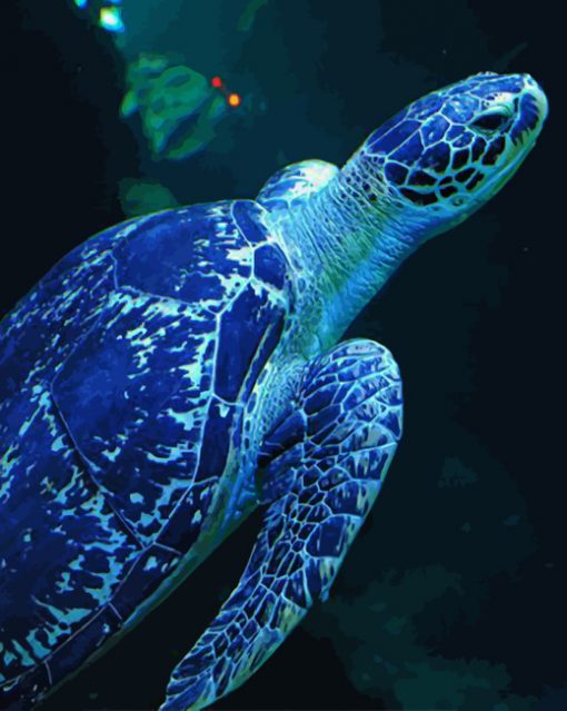 blue-sea-turtle-paint-by-number-2