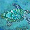 blue-turtle-paint-by-number