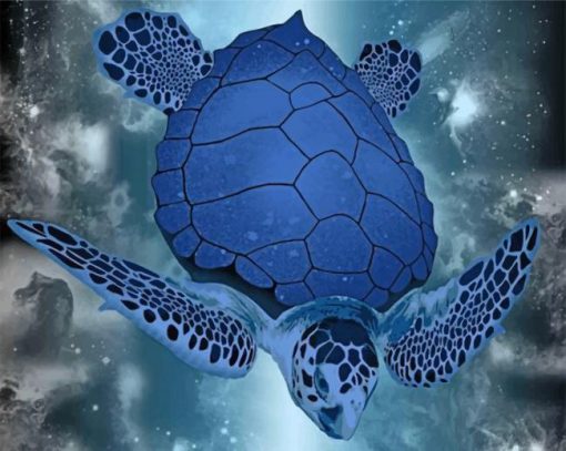 blue-turtle-paint-by-numbers