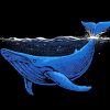 Blue Whale paint by numbers