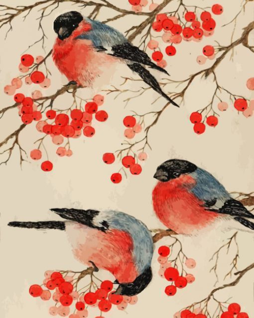 bullfinch-birds-paint-by-number