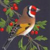 bullfinch-illustration-paint-by-number