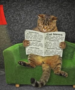 Cat Reading Newspaper