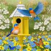colorful-garden-bluebirds-and-birdhouse-paint-by-number-510x639
