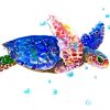 colorul-blue-sea-turtle-paint-by-number