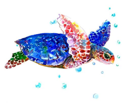 colorul-blue-sea-turtle-paint-by-number