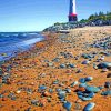 The Crisp Point Lighthouse