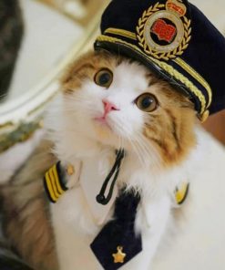 cute-police-cat-paint-by-number