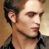 edward-cullen-paint-by-number