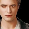 edward-cullen-twillight-paint-by-number