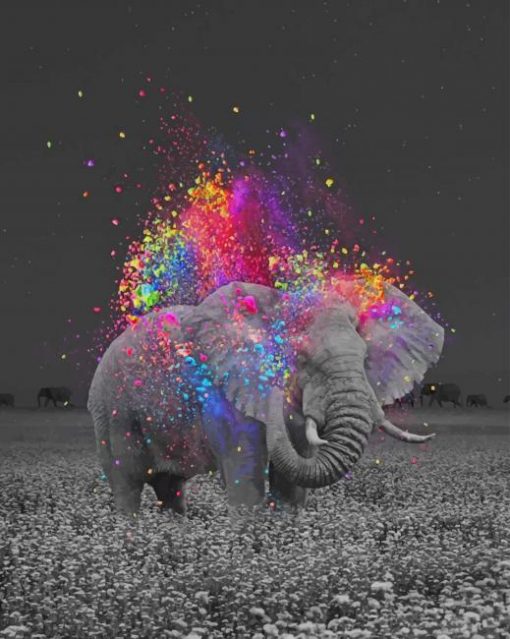 elephant-and-colors-paint-by-numbers