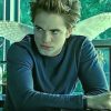 mad-edward-cullen-paint-by-numbers