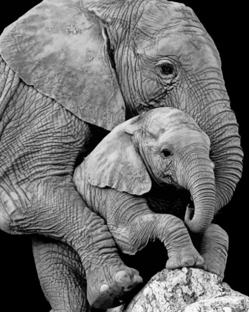 mom-elephant-and-cub-paint-by-number