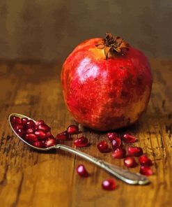 pomegranat-still-life-photography-paint-by-numbers