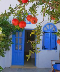 pomegranate-greece-paint-by-number