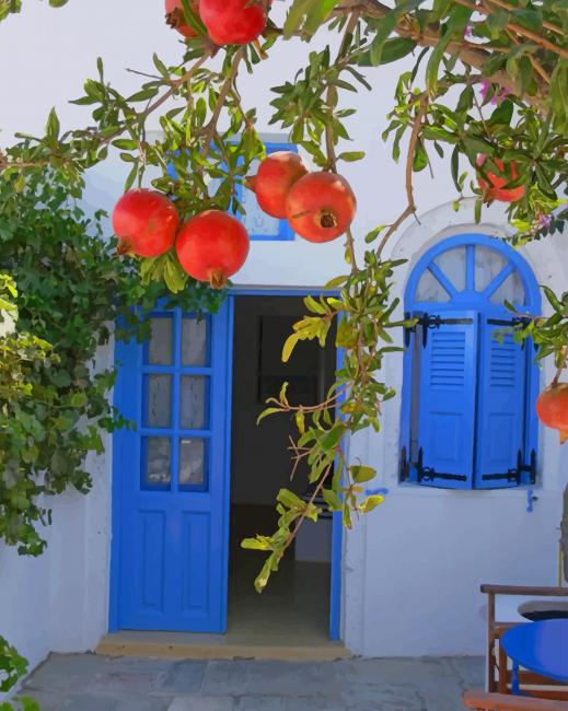 pomegranate-greece-paint-by-number