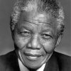 The President Nelson Mandela