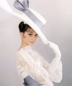 Audrey Hepburn In A White Hat paint by numbers
