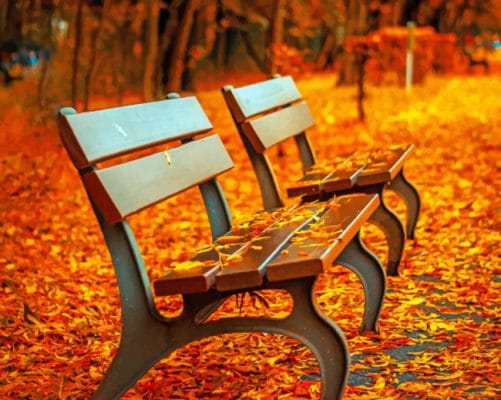 Autumn Bench Paint by numbers